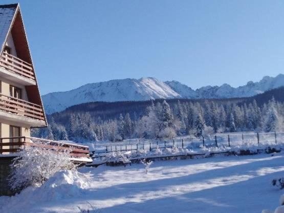 Willa Marysienka Acomodação com café da manhã Zakopane Exterior foto